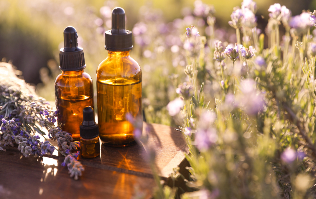 Introduction to essential oils for pets