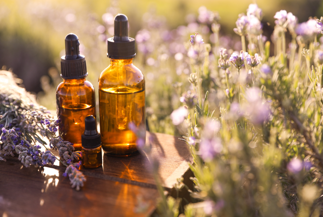 Introduction to essential oils for pets with Dr Nat